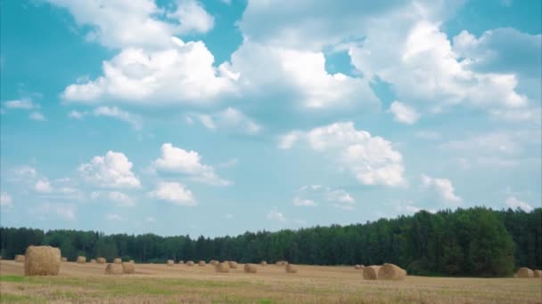 Time Lapse of beautiful scenery with clouds ,field in the background. Harvested — Stockvideo