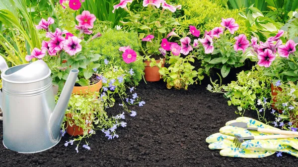 用浇水罐擦亮花朵 在有复制空间的花园横幅上装饰手套 春天里 在花坛上种植豌豆和白花开花苗 — 图库照片