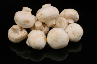 Beyaz düğme mantar