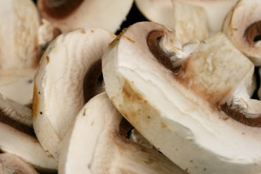 Beyaz düğme mantar