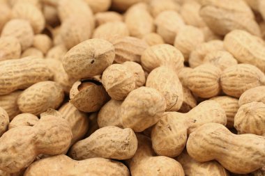 Fıstık yakın çekim