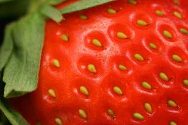 çilek aşırı yakın çekim