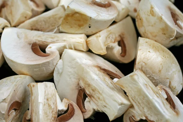 Funghi a pulsante bianchi — Foto Stock