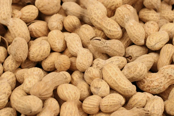 Fıstık yakın çekim