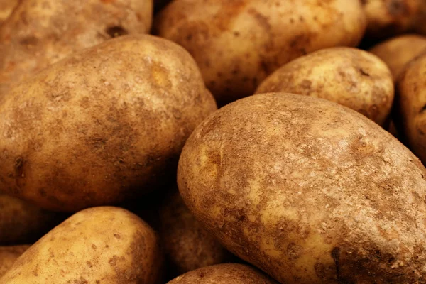 Russet Potatoes Close Up — Stock Photo, Image