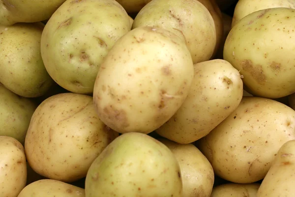 Gele aardappelen close-up — Stockfoto