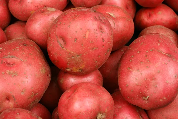 Batatas vermelhas fechar — Fotografia de Stock