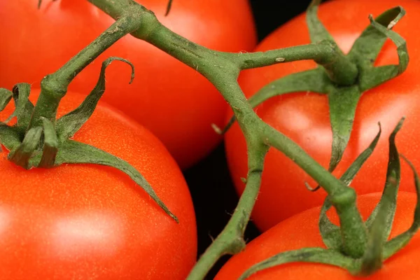 Fresh, ripe tomatoes close up — Stock Photo, Image