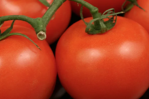 Fresh, ripe tomatoes close up — Stock Photo, Image