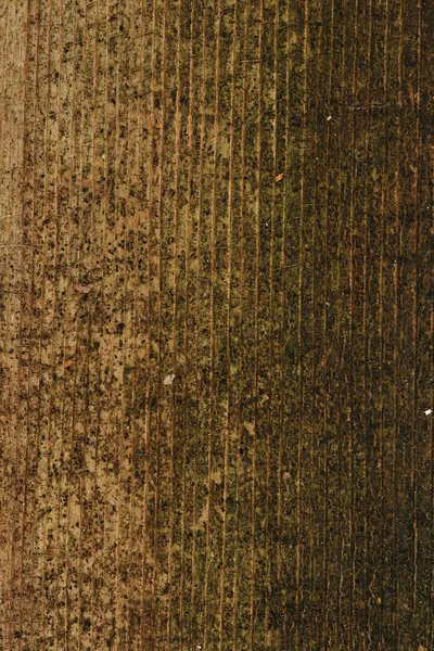 Gammalt trä nära upp bakgrund — Stockfoto