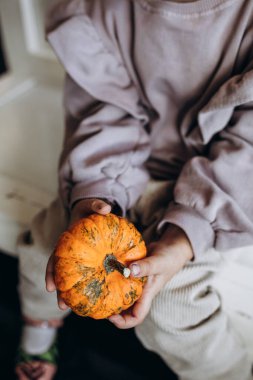Bahçeden küçük turuncu balkabakları