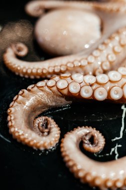 Pişmeden önce çiğ ahtapot.