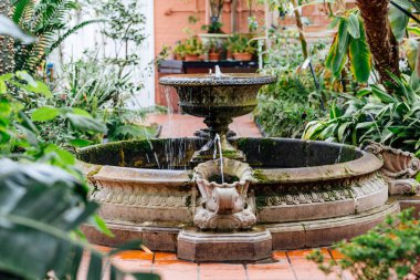 Birmingham 'daki botanik bahçesi.