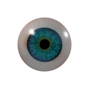 3D render eye ball - Önden Görünüm