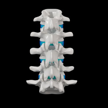 3d render - omurga yapısı üzerinde siyah arka plan ile mavi spinal disk - arkadan görünüm