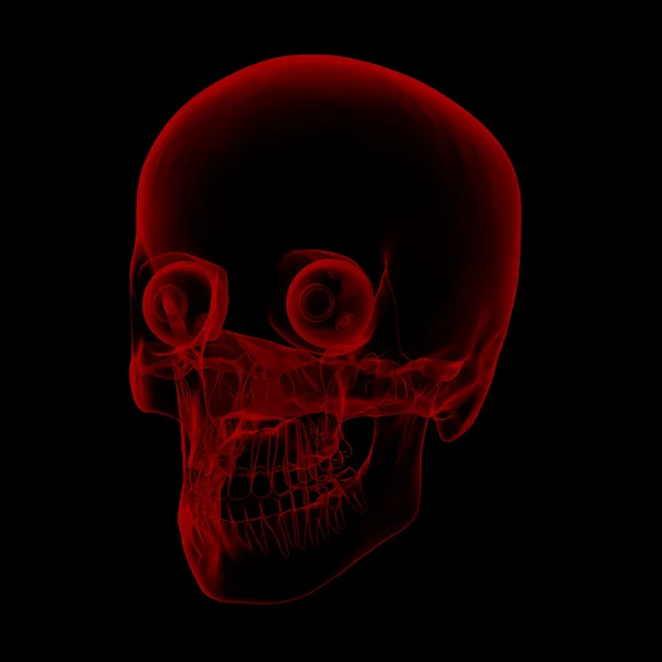 Skull and eye — Stock Photo, Image