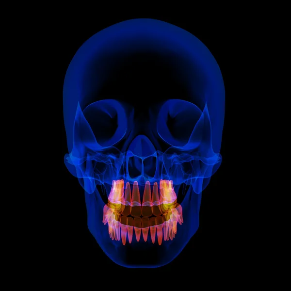 Human x ray skull on black background — Stock Photo, Image