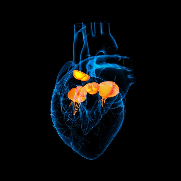 3D render kalp kapakçığı - yan görünüm — Stok fotoğraf