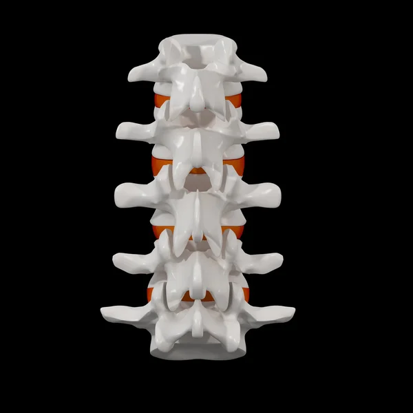 3D gesmolten - wervelkolom structuur op zwarte achtergrond met rode spinale disc - achteraanzicht — Stockfoto