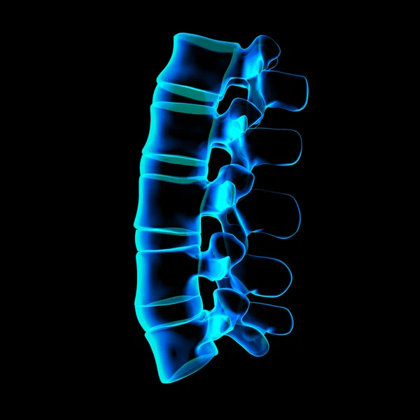 3 d レンダリングされた図腰椎側面ビュー — ストック写真