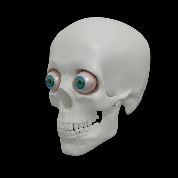 3D render insan kafatası - sağ ön görünüm — Stok fotoğraf