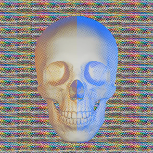 Skulls and color — Stock Photo, Image