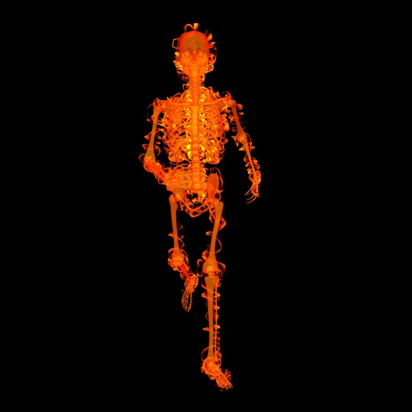 Scheletro di fuoco ambulante a raggi X in rosso - vista frontale — Foto Stock