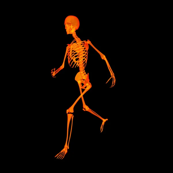 Walking skeleton by X-rays in red - side view — Stock Photo, Image