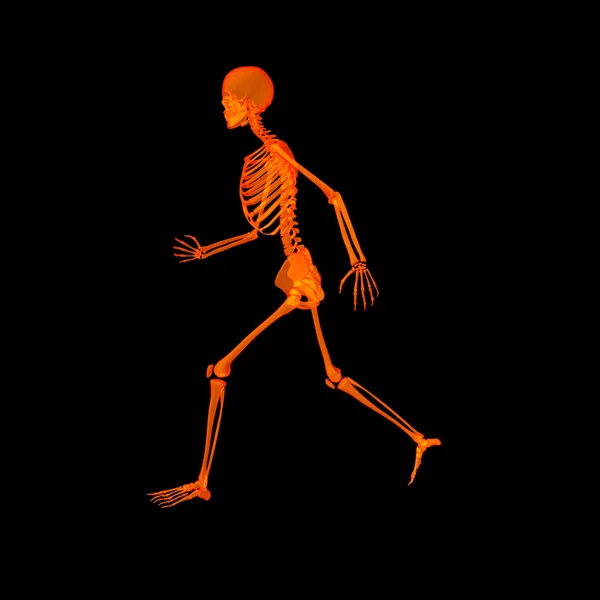Walking skeleton by X-rays in red - side view — Stock Photo, Image