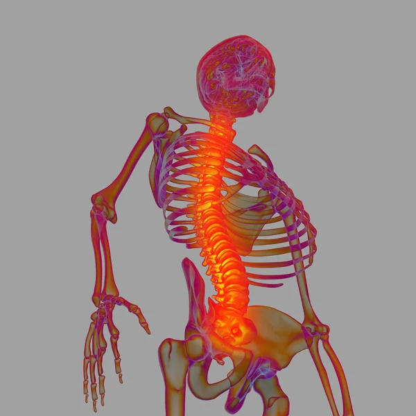 3d tornar humano de dor na coluna vertebral - visão inferior — Fotografia de Stock