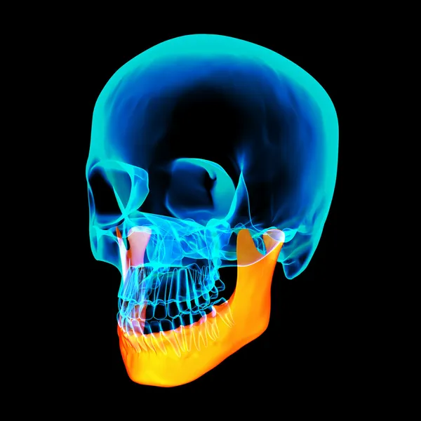 3D-s renderelt illusztráció - állkapocs csont - oldalnézet — Stock Fotó