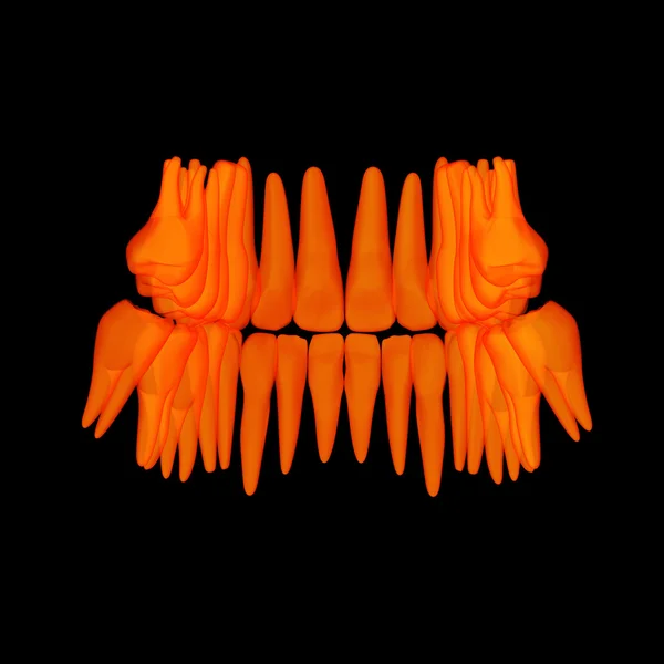 3d human orange teeth - back view — Stock Photo, Image