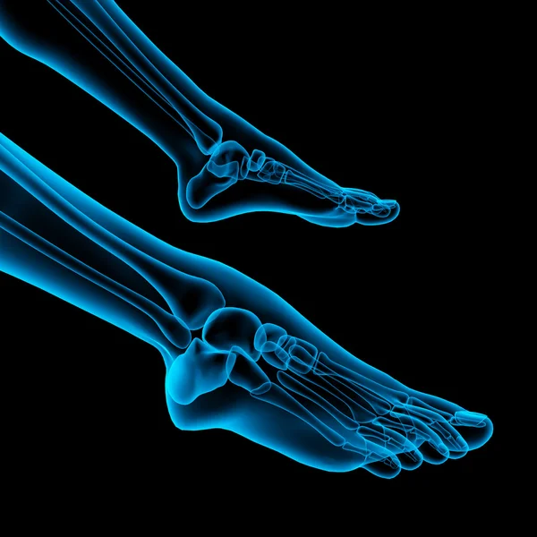 Menselijke voetpijn met de anatomie van een skeletvoet — Stockfoto