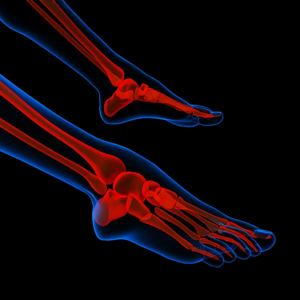 Human foot pain with the anatomy of a skeleton foot — Stock Photo, Image