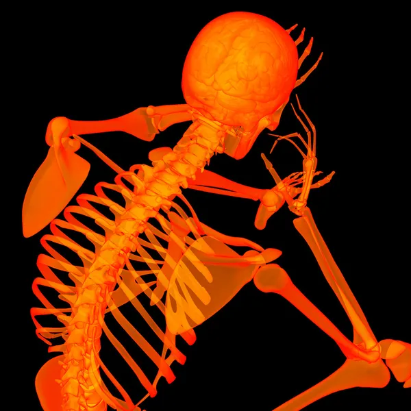 3D rende czerwony szkielet posiedzenia - widok z tyłu — Zdjęcie stockowe