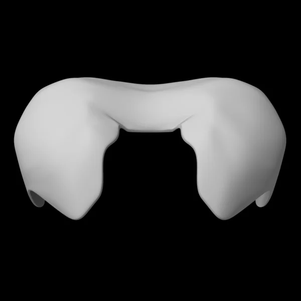 3D-gerenderde afbeelding van een middenrif - achteraanzicht — Stockfoto
