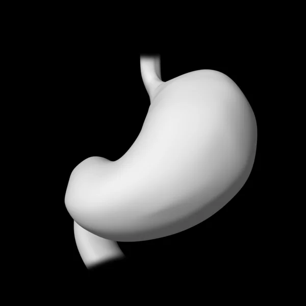 3D utsmält illustration av magen — Stockfoto