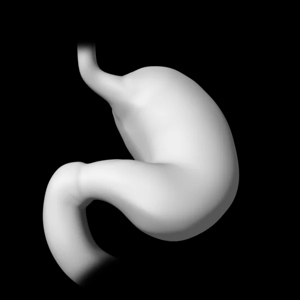 3D tavené ilustrace žaludku — Stock fotografie