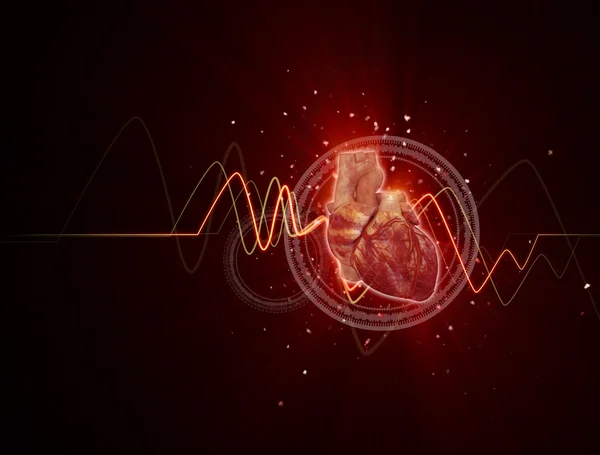 3D gerenderte medizinische Illustration eines menschlichen Herzens — Stockfoto