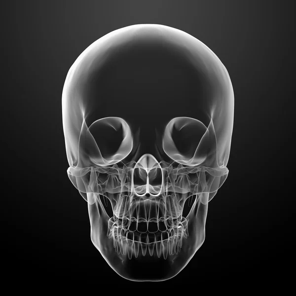 3d render skull on black background - front view — Stock Photo, Image