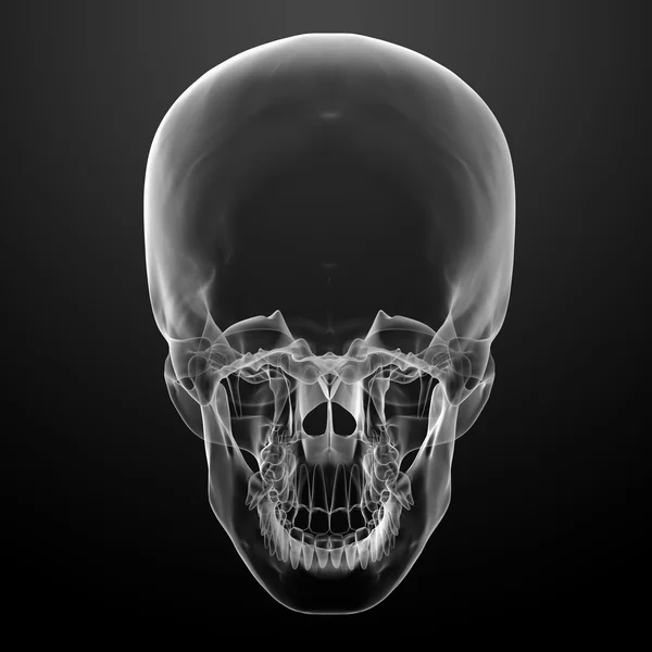 Skull ??? Stock Photo ?? sciencepics 63058183