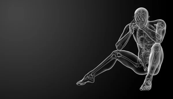 Rendering 3d Anatomia umana — Foto Stock