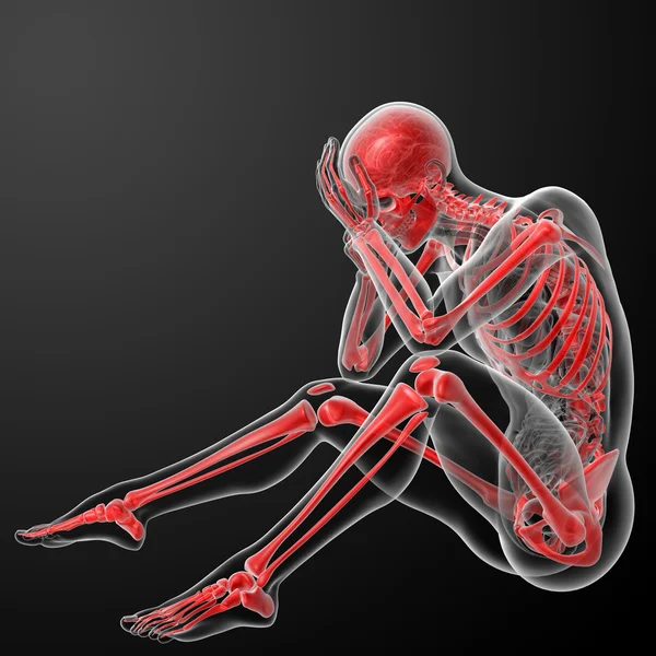 Red skeleton - side view — Stock Photo, Image