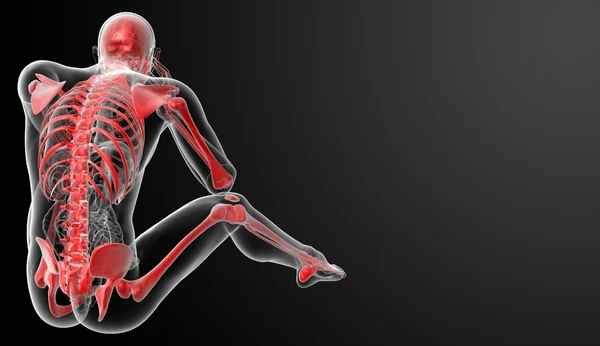 Red skeleton - back view — Stock Photo, Image