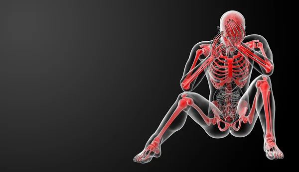 Red skeleton - front view — Stock Photo, Image