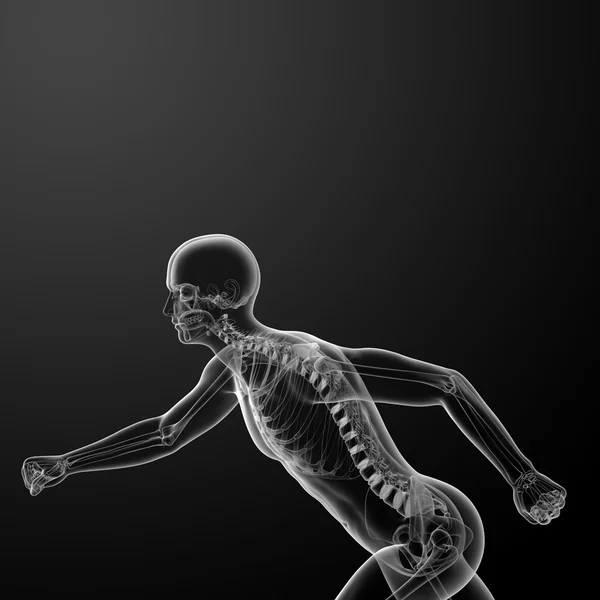 Running skeleton by X-rays - side view — Stock Photo, Image