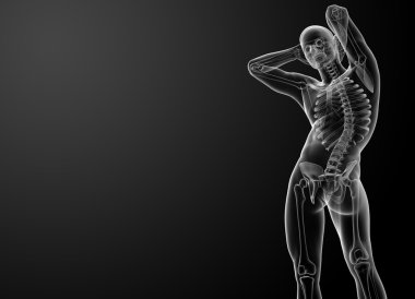 3D render iskelet - alttan görünüm
