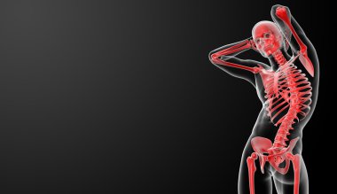 3D Render kırmızı iskelet - alttan görünüm