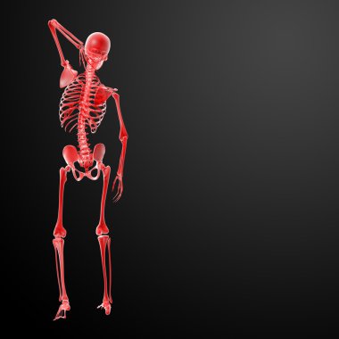 3D render iskelet röntgen