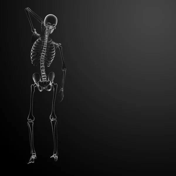 3D καθιστούν Skeleton ακτίνες Χ - πίσω όψη — Φωτογραφία Αρχείου